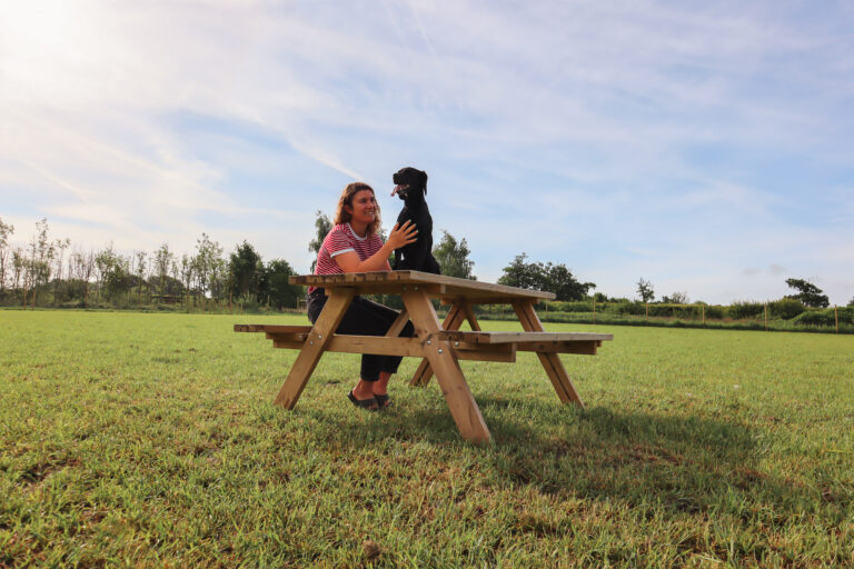 2312 440057e61ca2b83d605859d0ac50d730 1 768x512