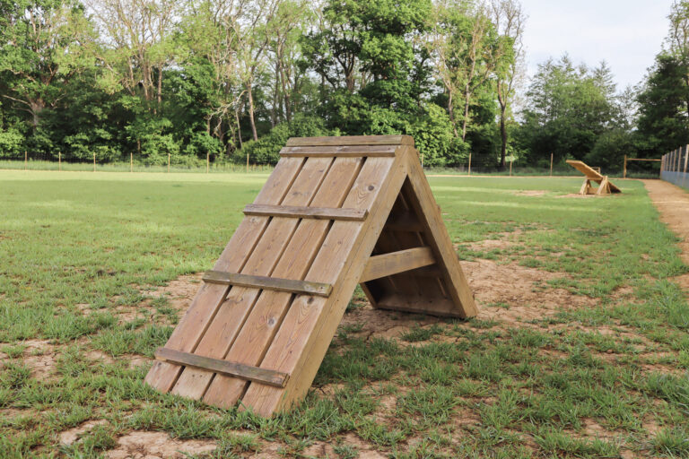 2312 660f3f2e006b641d4f721d7fe963ceaa 1 768x512