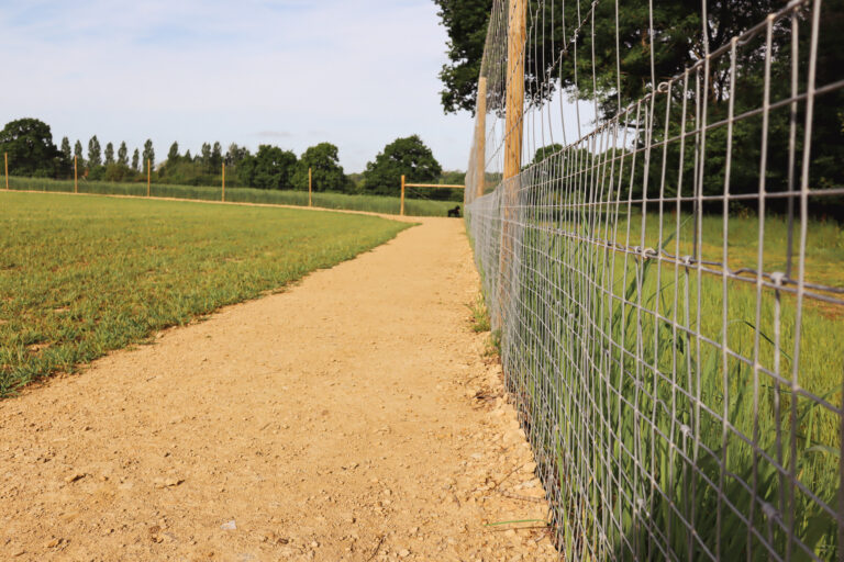 2312 76eeeec120ee684b7a3941fff239f0f6 1 768x512