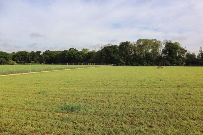 2312 83d4145da7cc5e911faf78ba213383fb 1 768x512