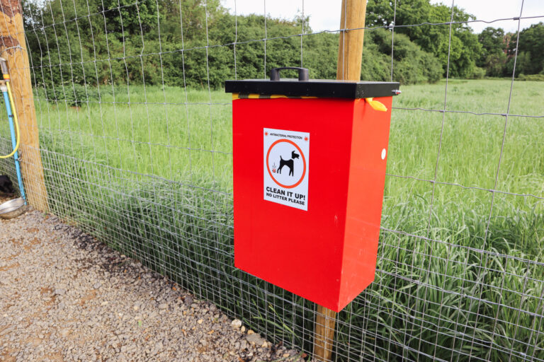 2312 8c3ce98c75ea2fc390625a9b564896a2 1 768x512