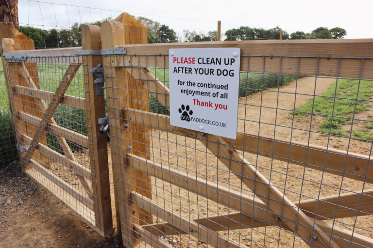 2312 9861b0ef9e3d5b236006dfebe71f7df1 1 768x512