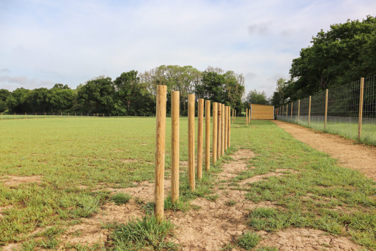 2312 aea9e78d51d0edd938ab8b3de5c2b4bd 1 768x512