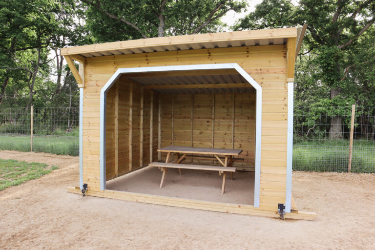 2312 f1cc2d187ee6df83ab3b3d3d426db847 1 768x512