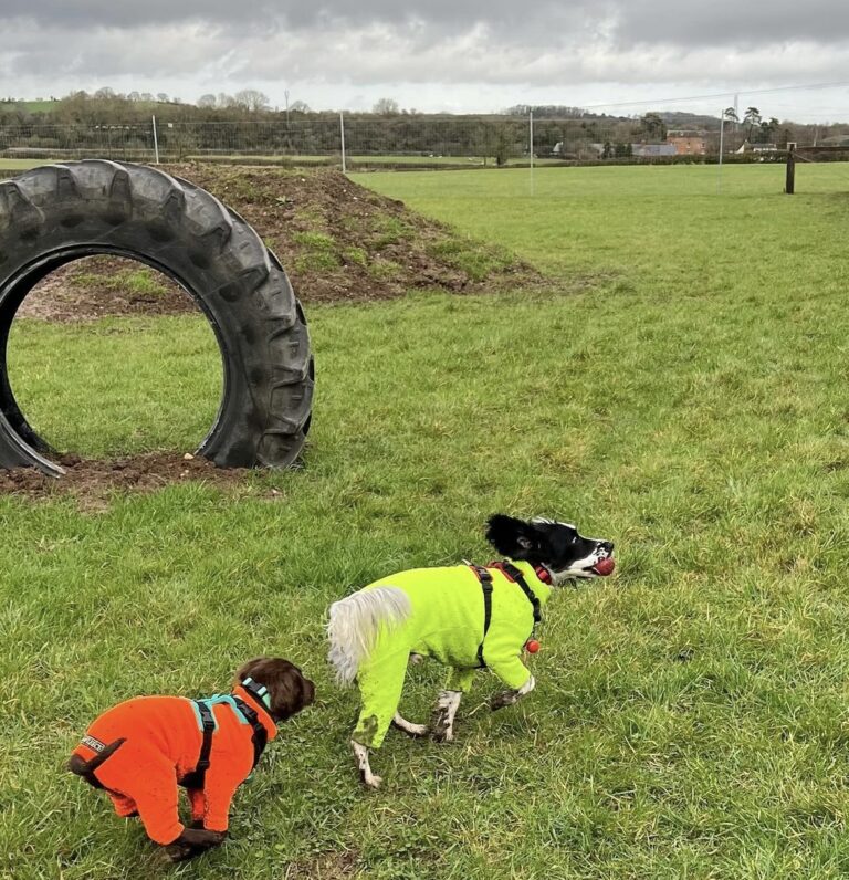 2313 22e3b16ad1612714cd6f26889b16c798 1 768x796