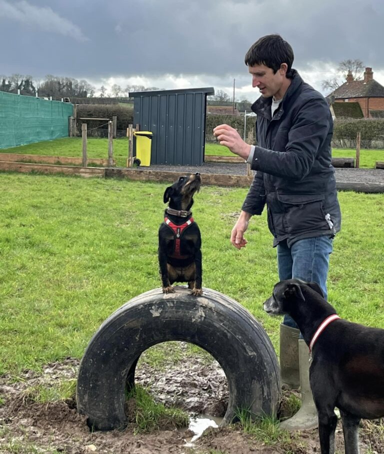 2313 2b7da0aff5d7ead48d5bc30e4426c5a6 1 768x907