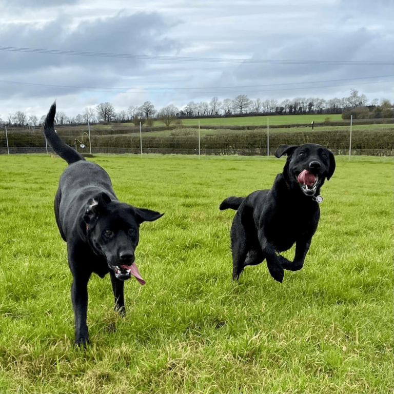 2313 4c8cee3530360b092aa5d98068a5aed6 1 768x768