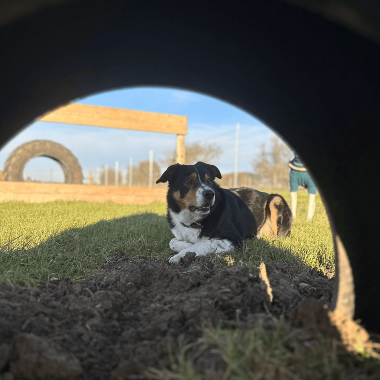 2313 581d9f3e270f4f241908c2d0cacc0d9f 1 768x768