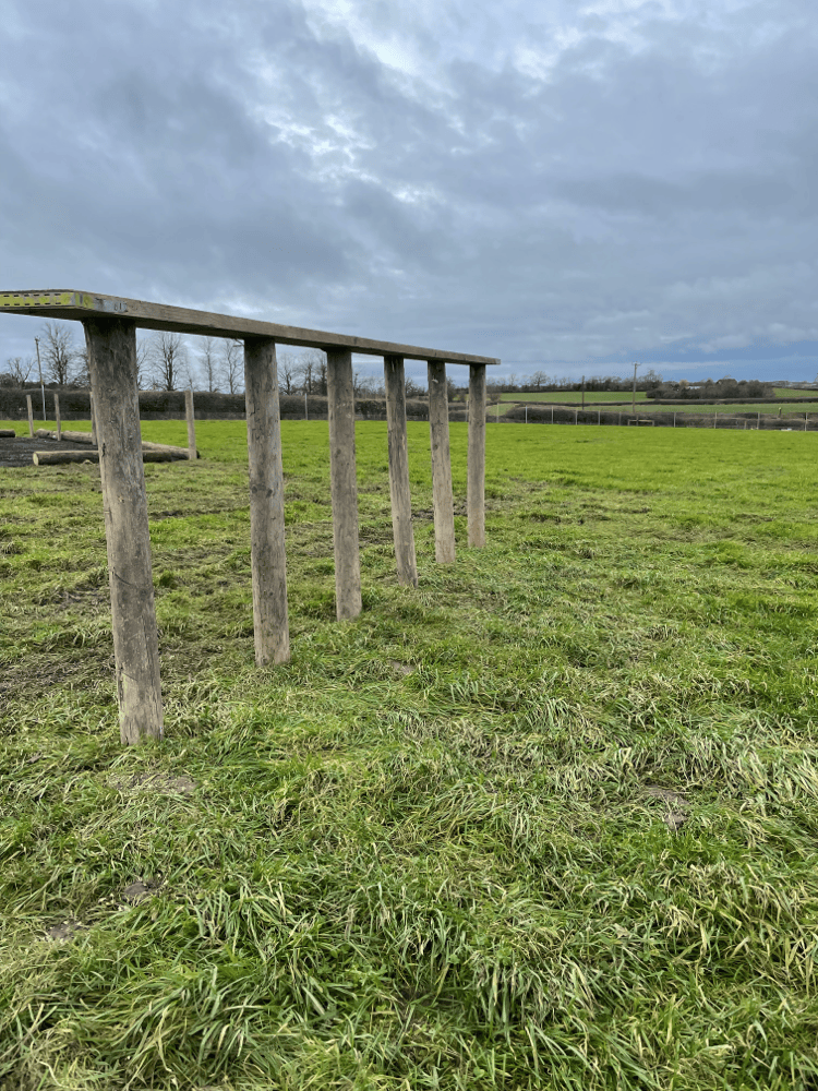 2313 68aa2277aecea60d3634f0fbd27d983b 1