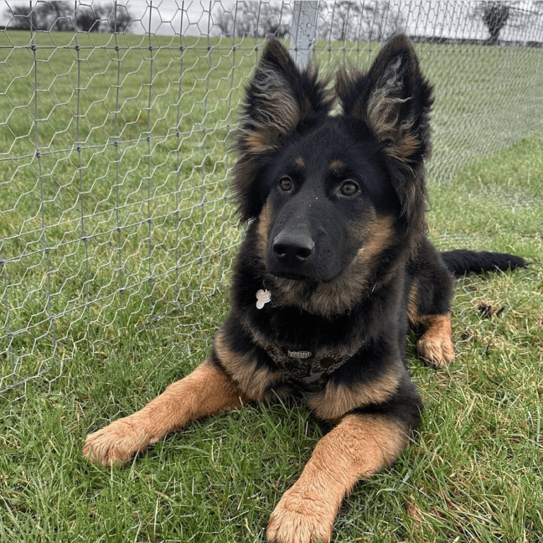 2313 8d522cd44257985387c3e812e38314a2 1 768x768