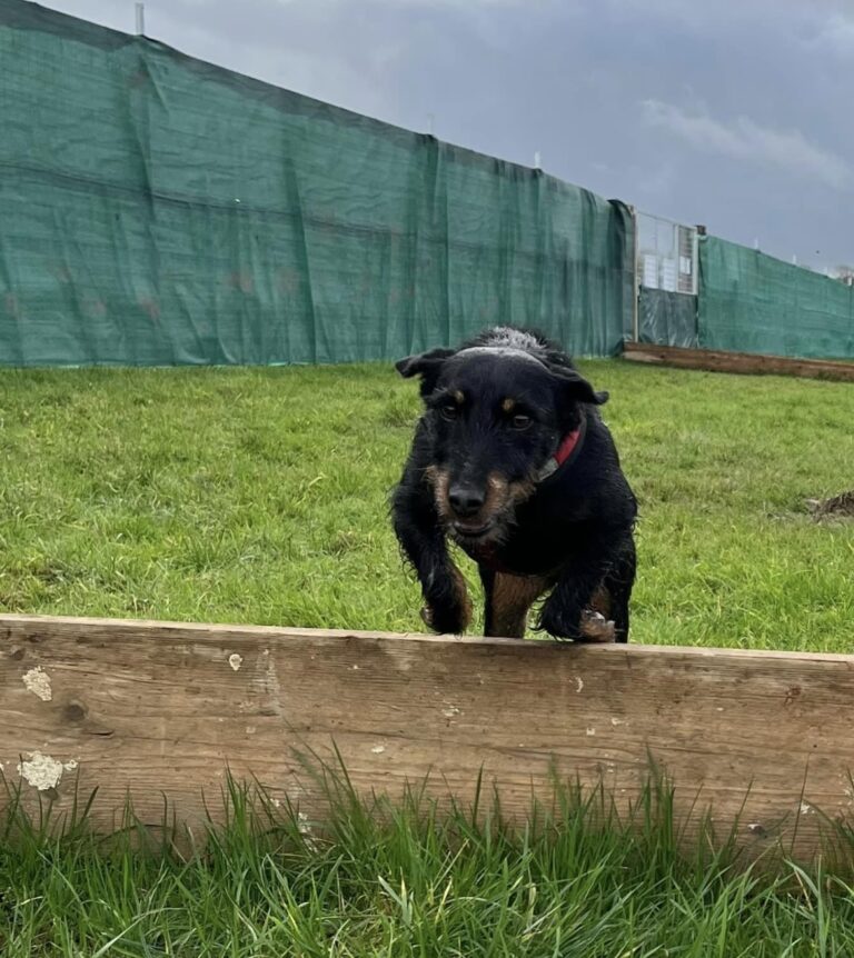 2313 ec8c5db5eaa6cc518b8e2a9c7c5a77fd 1 768x862