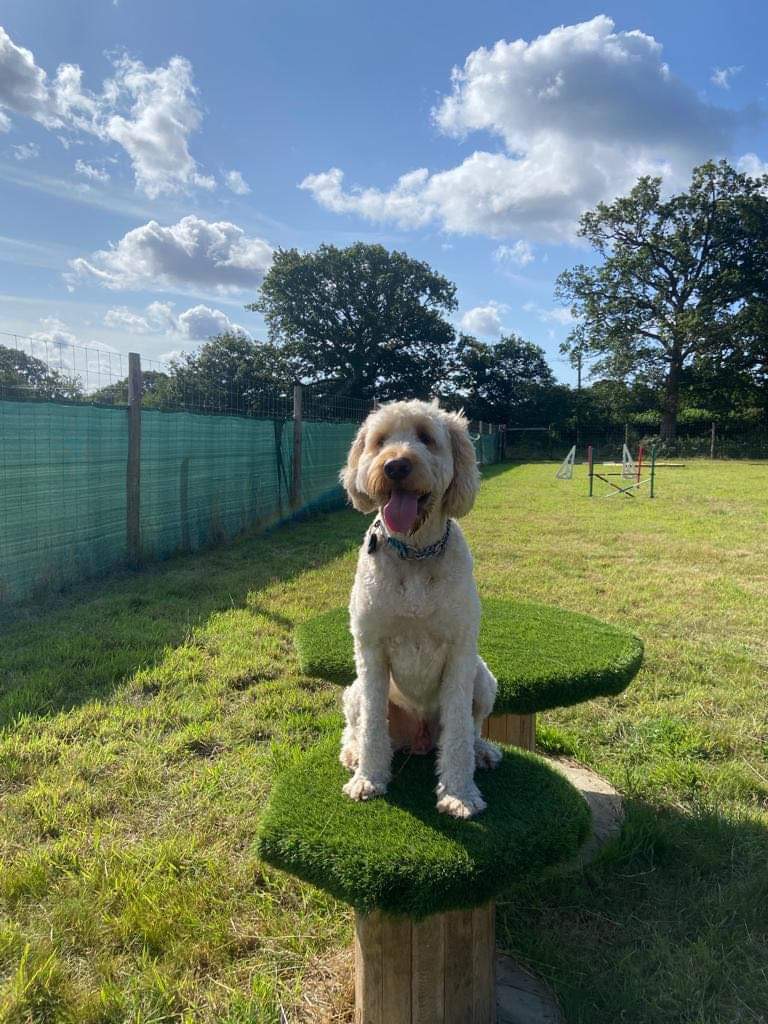 2314 58452923cf458c776ebf1f4ed25c3461 1