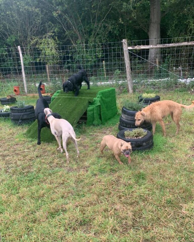 2314 b445cbdcefc371246306d7e1d070f953 1 768x958