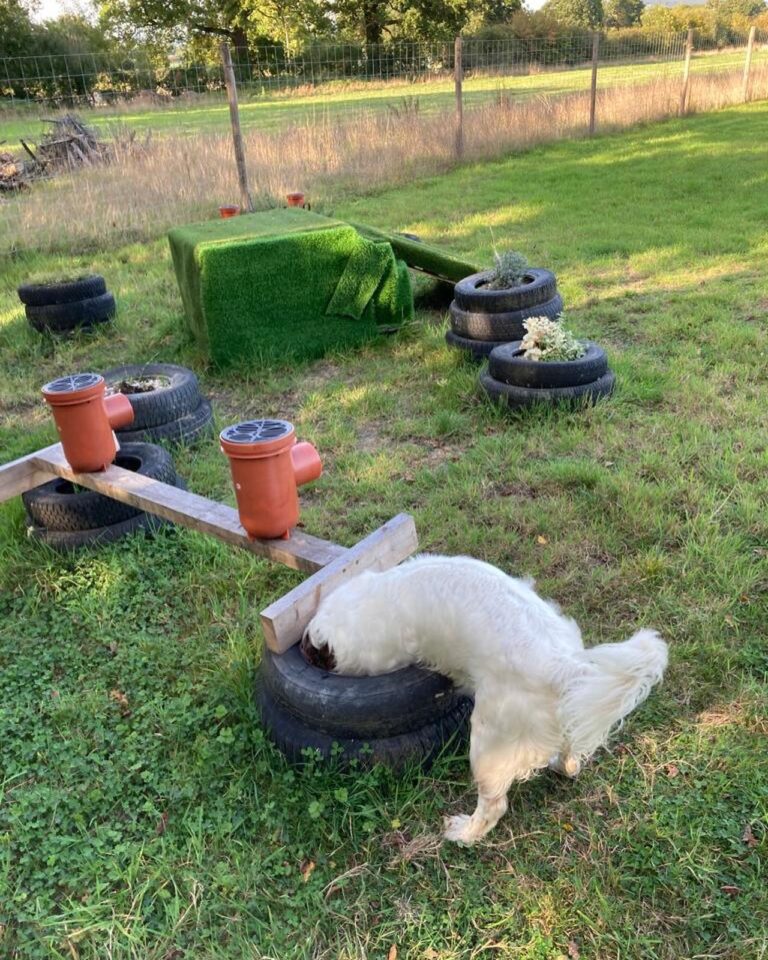 2314 d1ba0a9fd9520e1729440e5838fa8e5a 1 768x960