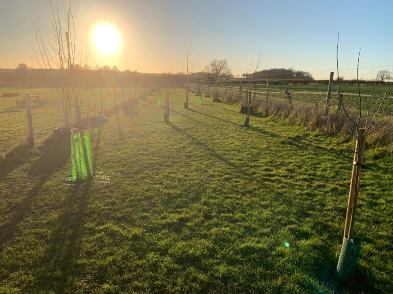 272643874 1245002739322978 4818747070649352909 n 768x576