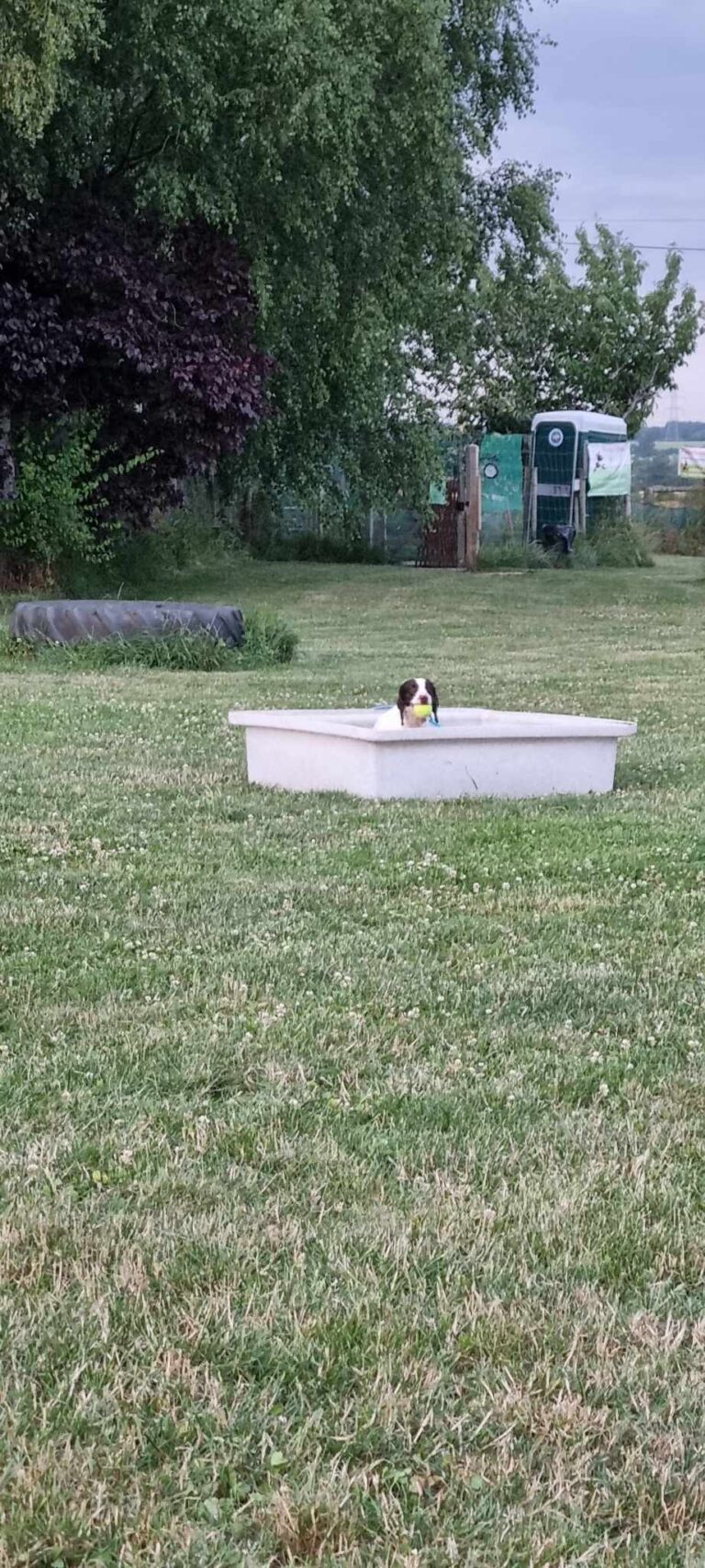 355551562 566961315620846 8717864401571696213 n 768x1706