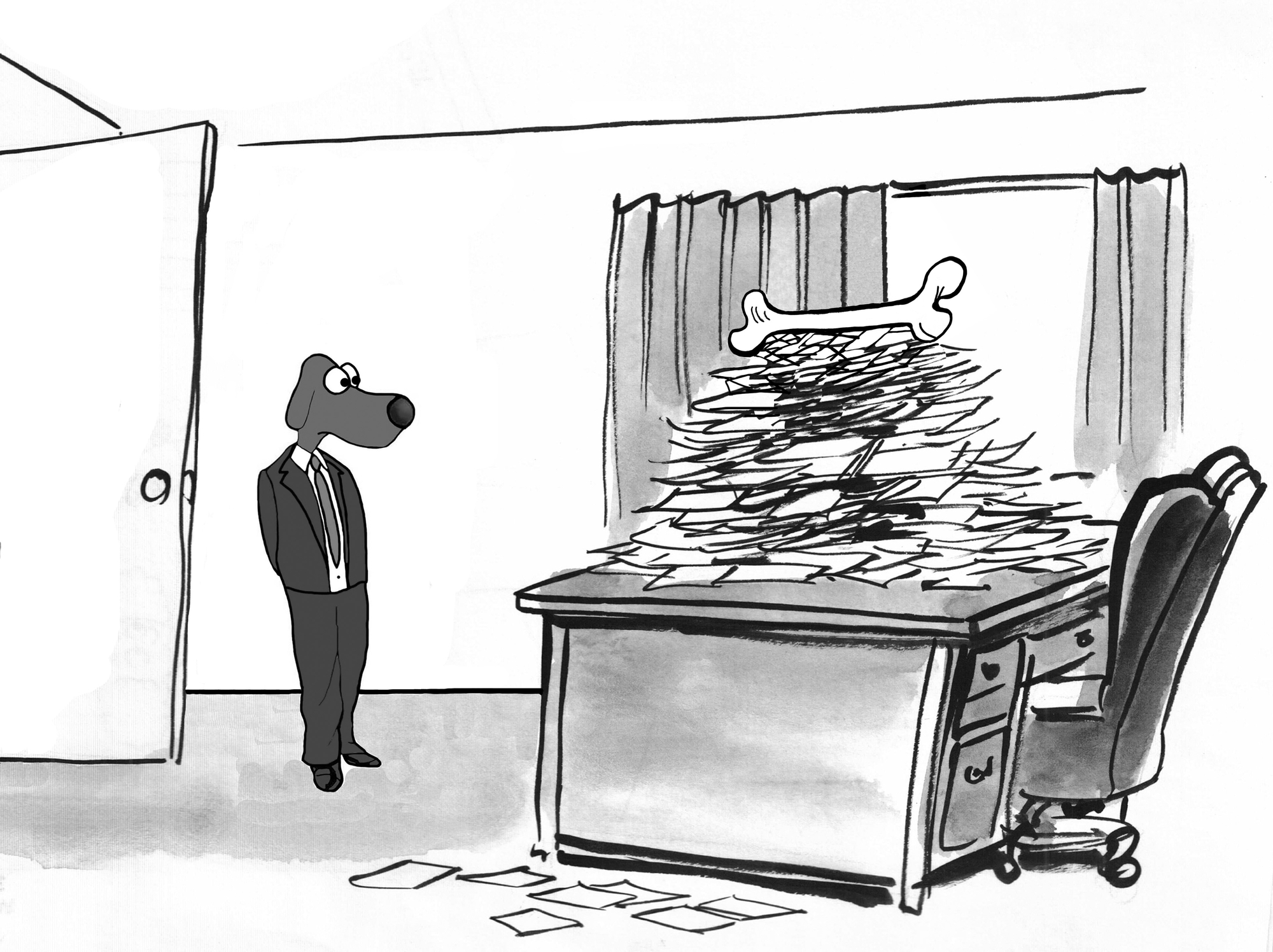 Navigating Planning Permission for Your Dog’s Enclosed Field