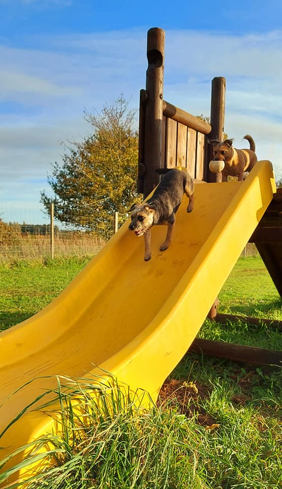 123357704 10217740219448354 7875630886734916888 n