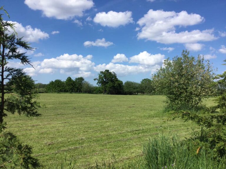 195759720 10159464956521719 422378562902422886 n 768x576