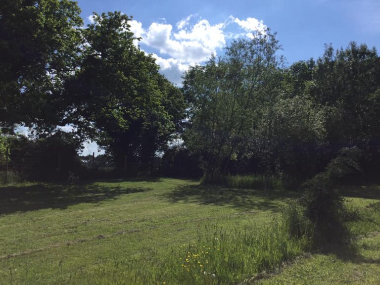 196227778 10159464956606719 4084288637215881761 n 768x576