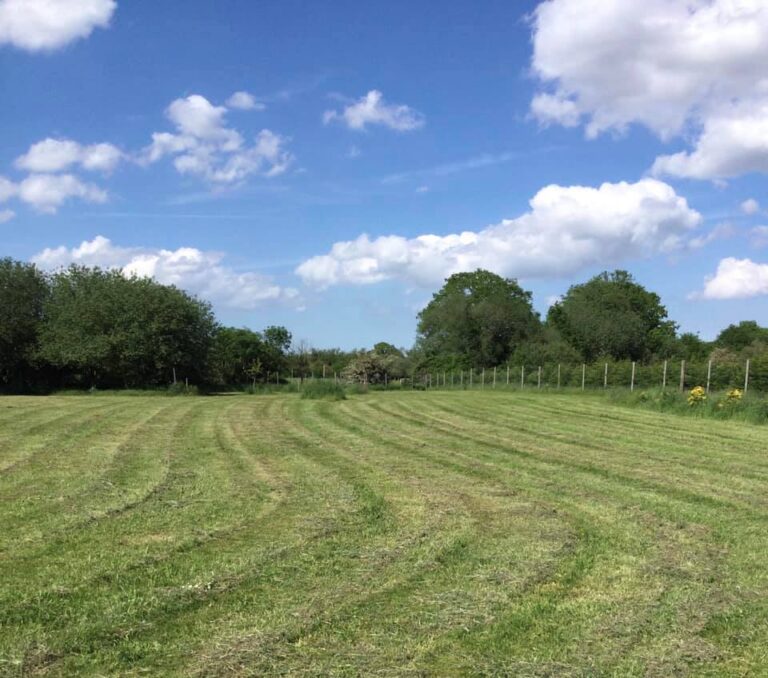 196306661 10159464956126719 2277449210593050783 n 768x678