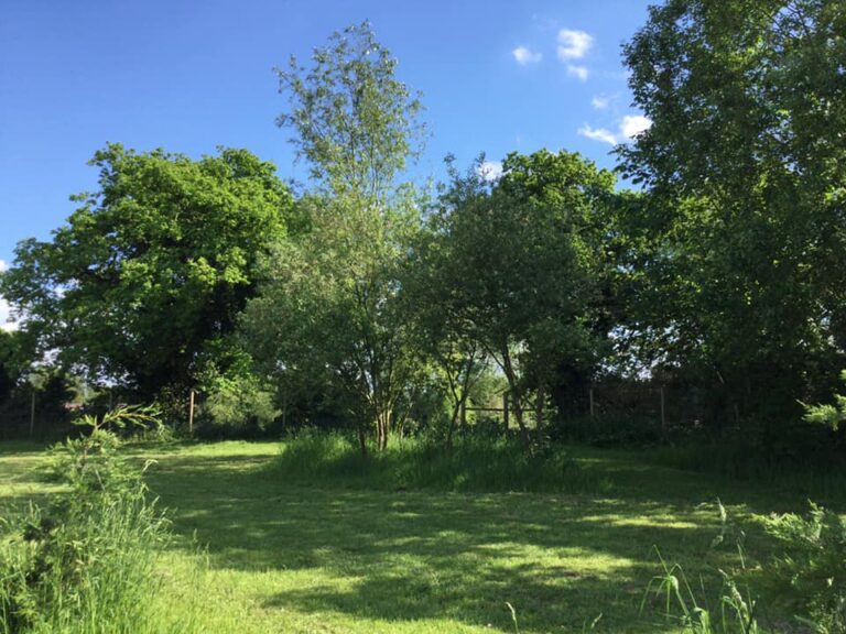 196519402 10159464956186719 6370667094162925779 n 768x576