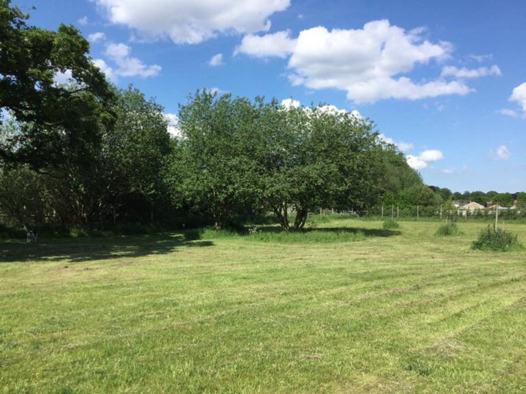 196952594 10159464956931719 1127428062227311981 n 768x576