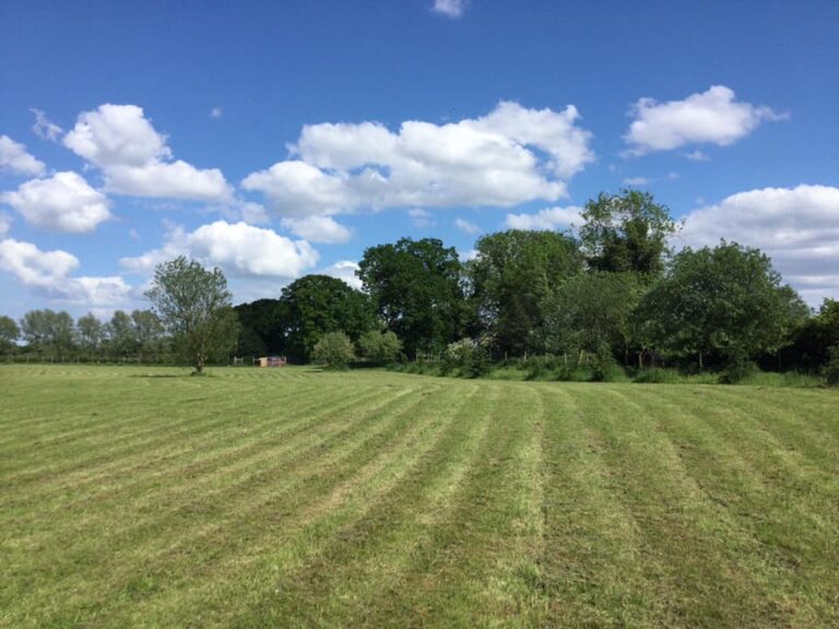 197349845 10159464956696719 6838615793905321623 n 768x576