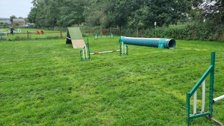 20230928 111844 768x432