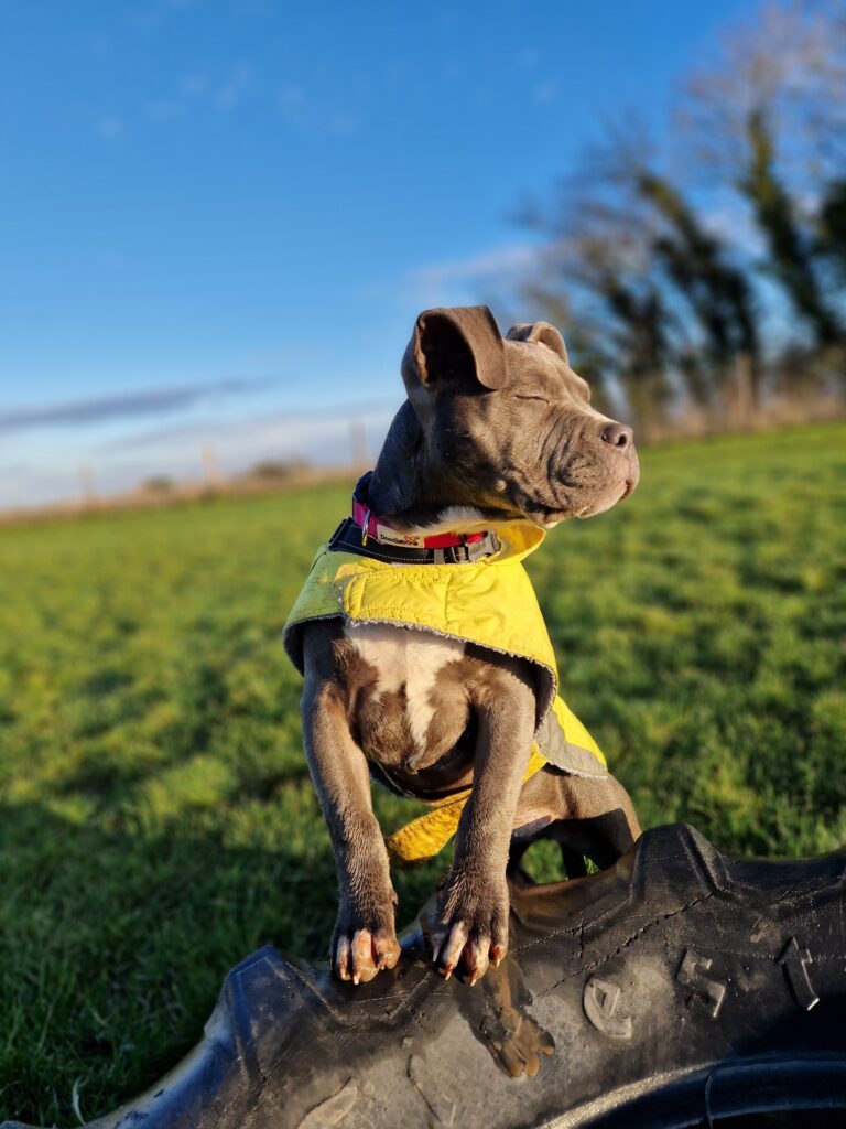 20240104 092225 768x1024