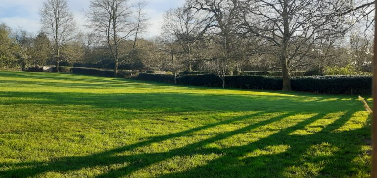 20240401 182129 768x364