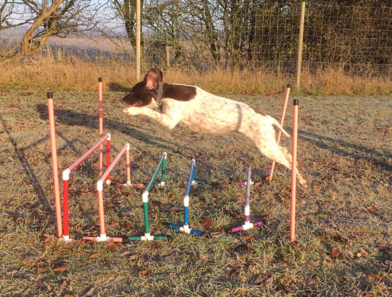 272052310 4989394861081066 2313279531121072941 n 768x581