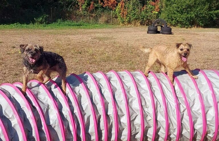 28 Peggy Nellie 768x497