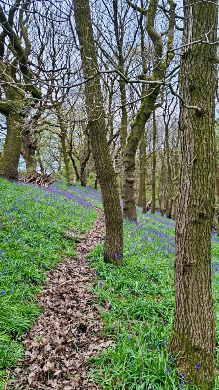 5890d393 b2ce 4990 a251 f3a1aacea198 768x1365