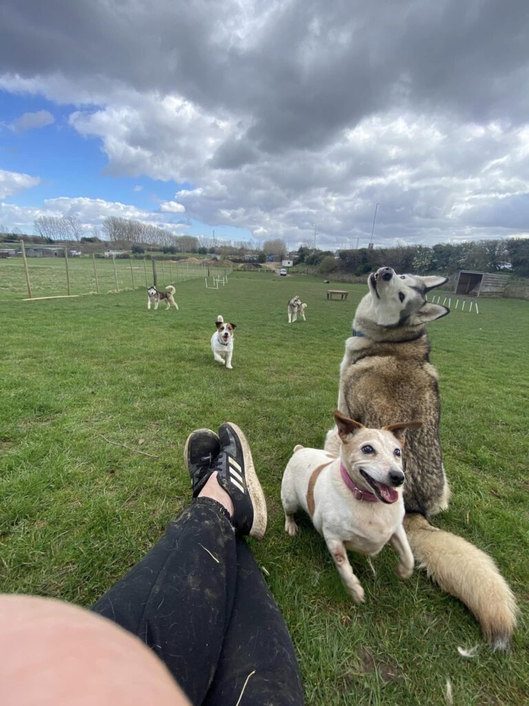 Charliee 2 1 768x1024