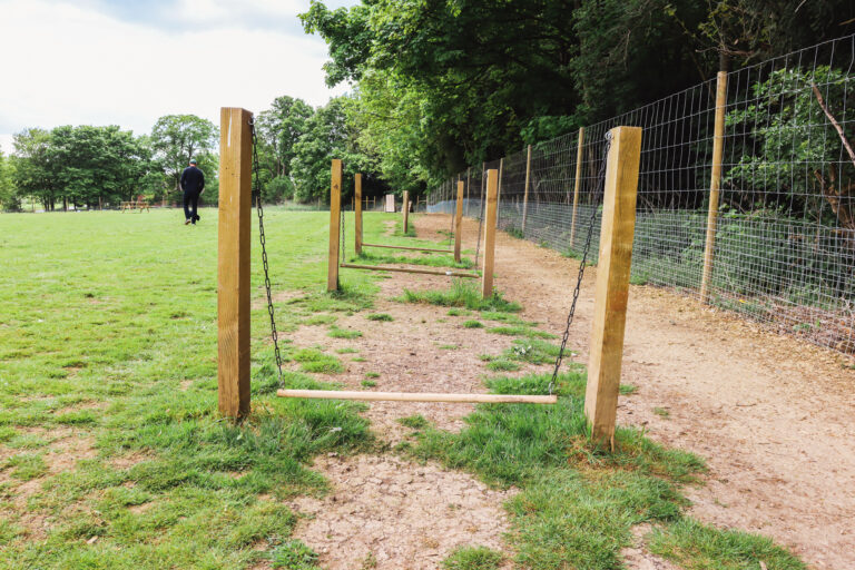 Dog Agility Jumps 1 768x512