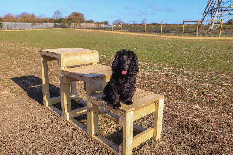 Dog Agility Podium at Portsdown Hill 768x512