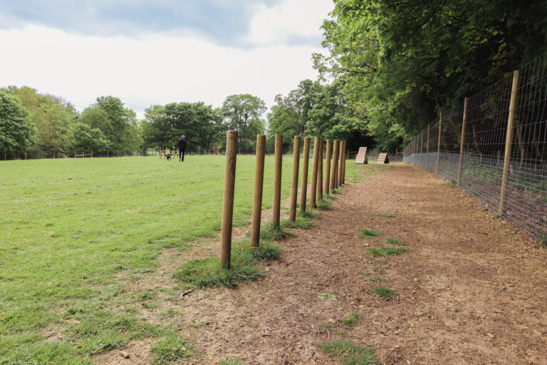 Dog Agility Weaves 768x512