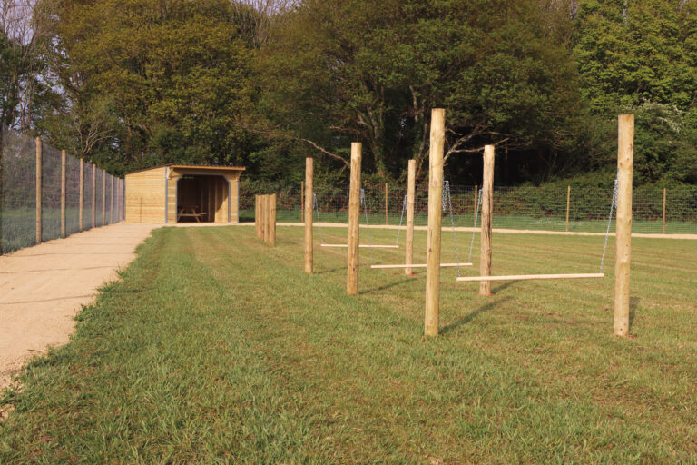 Dog agility jumps 768x512