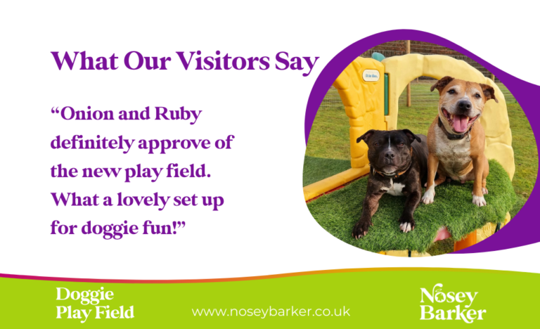 Doggie Play Field Landscape 2 768x468