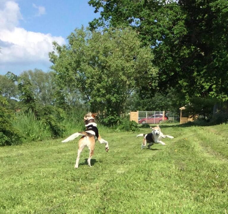 Emily Savage2 768x720