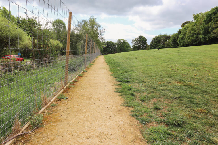 Paw Paddock Bullington 3 acre field 768x512