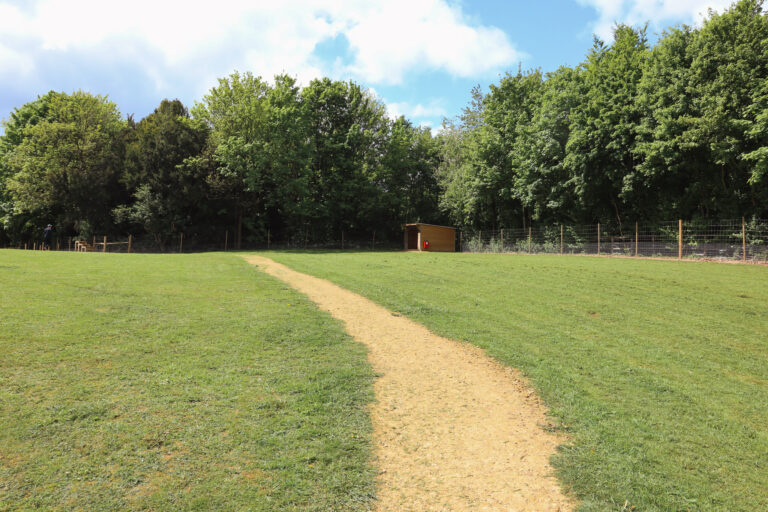 Paw Paddock Winchester 768x512