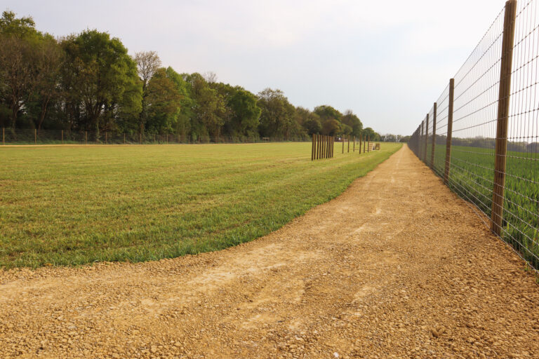 Paw Paddock in Hampshire 768x512