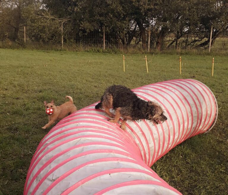 Peggy Nellie Tunnel 768x656