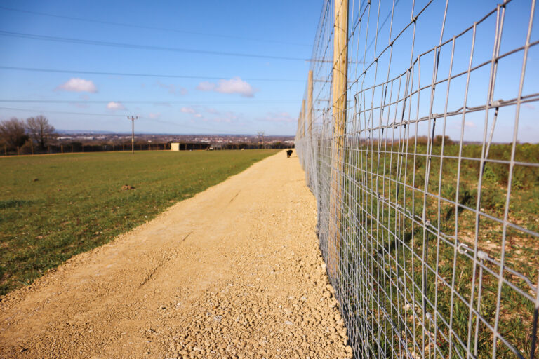 Secure Dog Walking in Hampshire 768x512