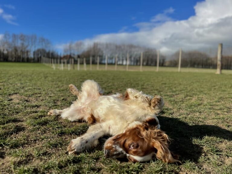 Winner 26 05 23 768x576