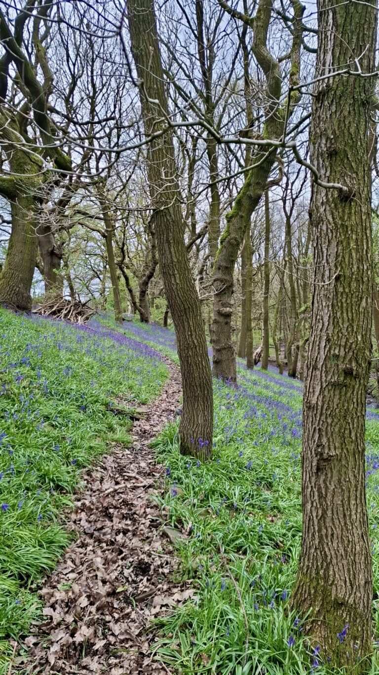 bf3a797c 4c97 4e00 b9ea b3e404f1b17c 768x1365