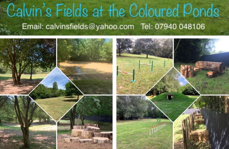 calvinsfields.newbanner 768x502