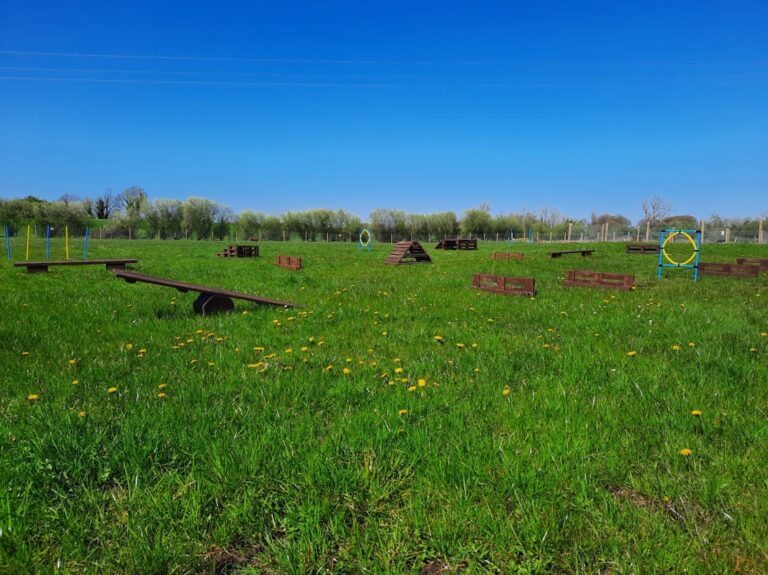 woofland dog park 768x575